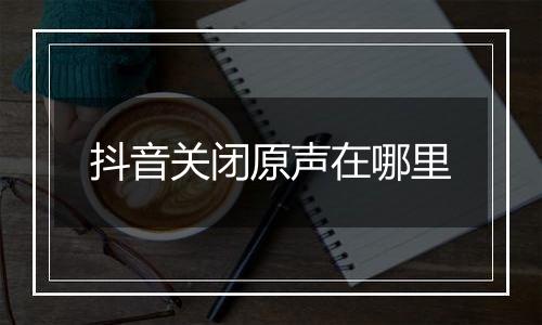 抖音关闭原声在哪里