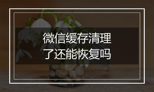 微信缓存清理了还能恢复吗