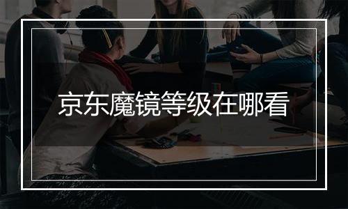 京东魔镜等级在哪看