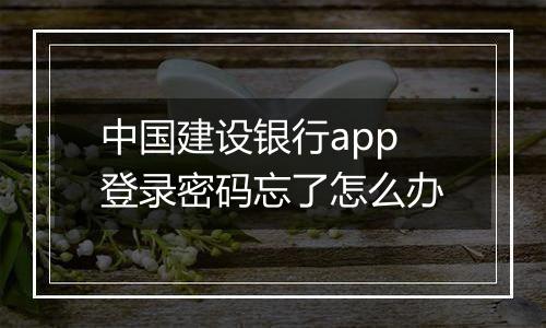 中国建设银行app登录密码忘了怎么办