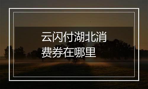 云闪付湖北消费券在哪里