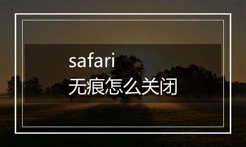 safari无痕怎么关闭