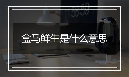 盒马鲜生是什么意思