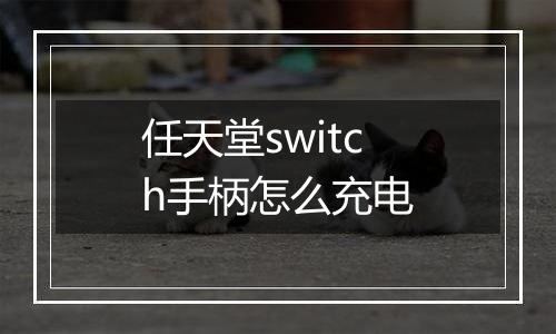 任天堂switch手柄怎么充电