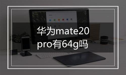 华为mate20pro有64g吗