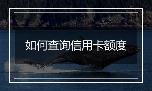 如何查询信用卡额度