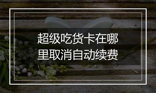 超级吃货卡在哪里取消自动续费