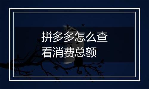 拼多多怎么查看消费总额
