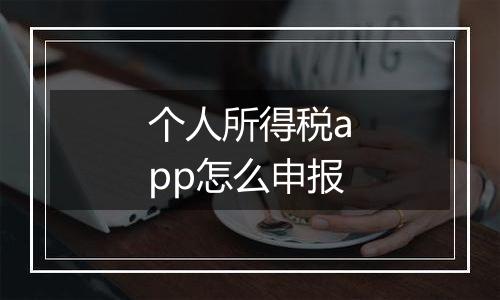个人所得税app怎么申报