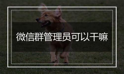 微信群管理员可以干嘛