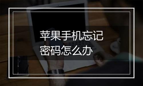 苹果手机忘记密码怎么办