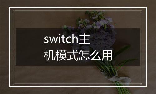 switch主机模式怎么用