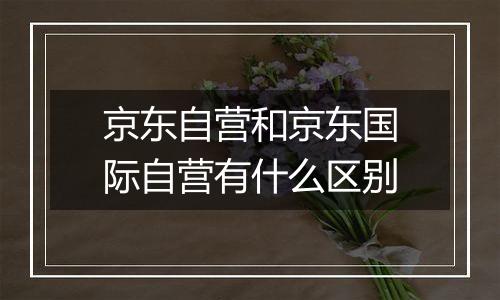 京东自营和京东国际自营有什么区别