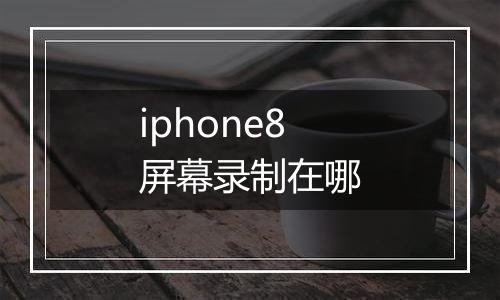 iphone8屏幕录制在哪