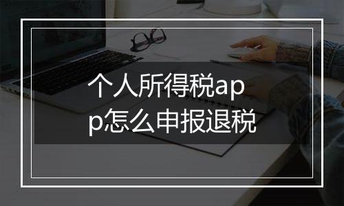 个人所得税app怎么申报退税