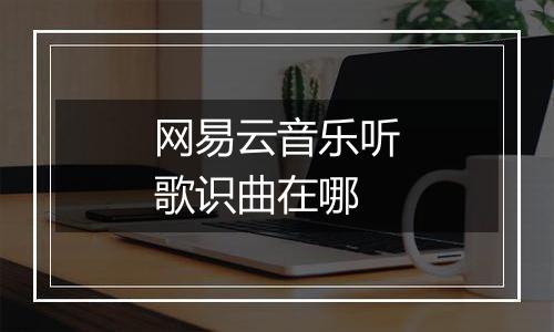 网易云音乐听歌识曲在哪