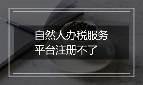 自然人办税服务平台注册不了