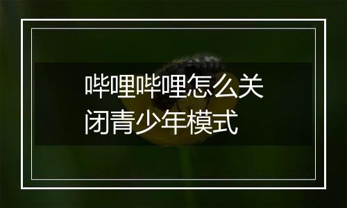 哔哩哔哩怎么关闭青少年模式