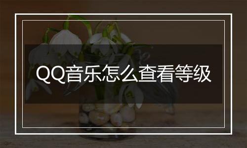 QQ音乐怎么查看等级
