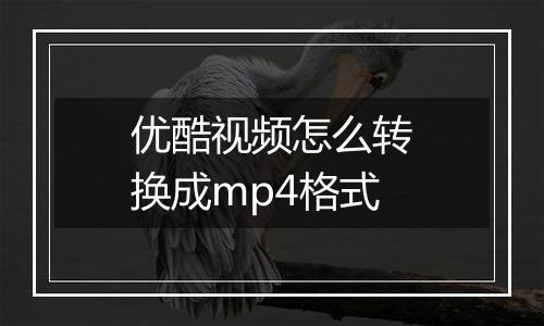 优酷视频怎么转换成mp4格式