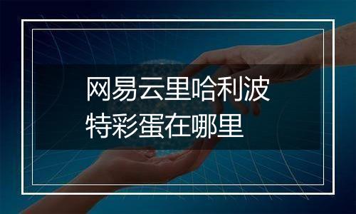 网易云里哈利波特彩蛋在哪里