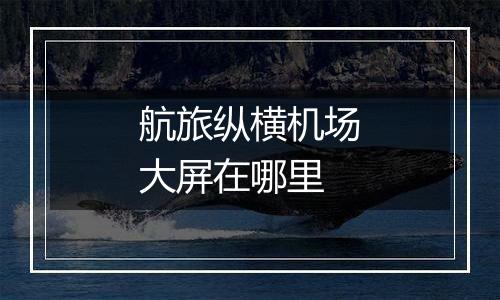 航旅纵横机场大屏在哪里