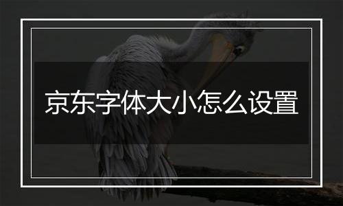 京东字体大小怎么设置