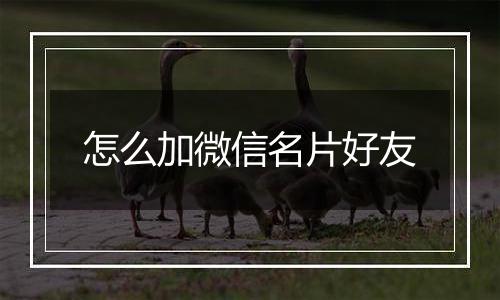 怎么加微信名片好友