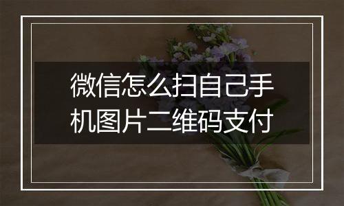 微信怎么扫自己手机图片二维码支付