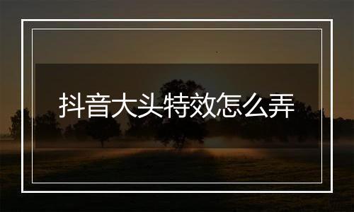 抖音大头特效怎么弄