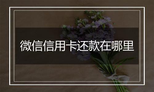 微信信用卡还款在哪里