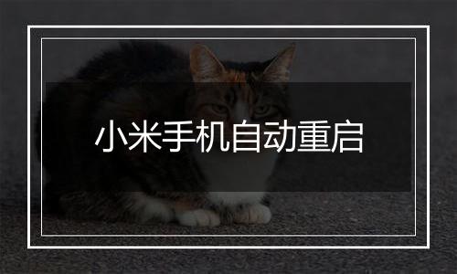 小米手机自动重启