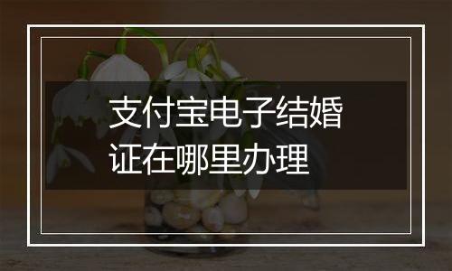 支付宝电子结婚证在哪里办理