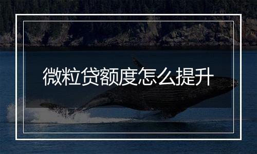 微粒贷额度怎么提升