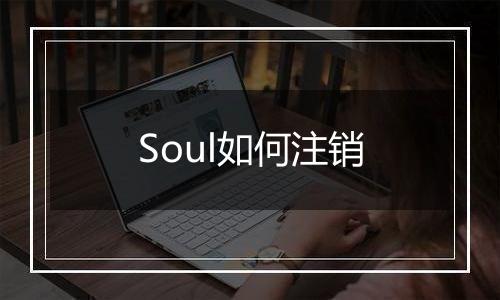 Soul如何注销