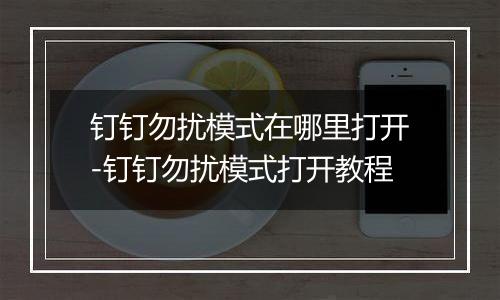 钉钉勿扰模式在哪里打开-钉钉勿扰模式打开教程