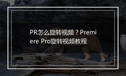PR怎么旋转视频？Premiere Pro旋转视频教程