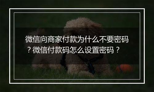 微信向商家付款为什么不要密码？微信付款码怎么设置密码？