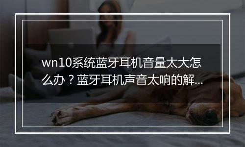 wn10系统蓝牙耳机音量太大怎么办？蓝牙耳机声音太响的解决方法