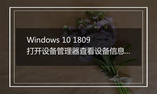 Windows 10 1809打开设备管理器查看设备信息就死机/重启怎么办？