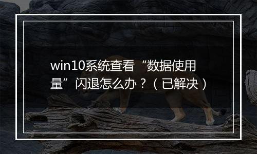 win10系统查看“数据使用量”闪退怎么办？（已解决）