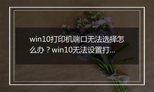 win10打印机端口无法选择怎么办？win10无法设置打印机端口的解决方法