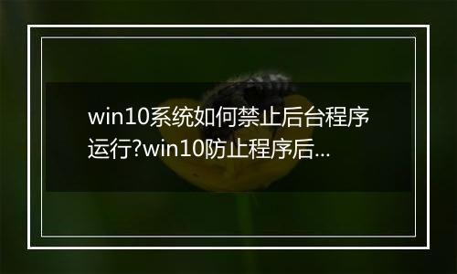 win10系统如何禁止后台程序运行?win10防止程序后台自动运行的方法