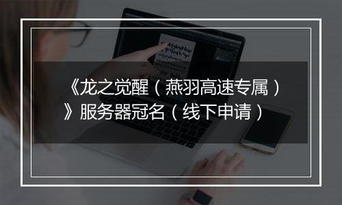 《龙之觉醒（燕羽高速专属）》服务器冠名（线下申请）