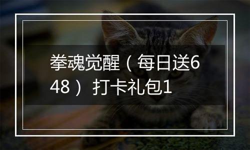 拳魂觉醒（每日送648） 打卡礼包1