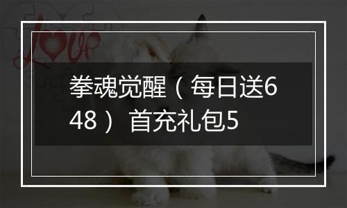 拳魂觉醒（每日送648） 首充礼包5