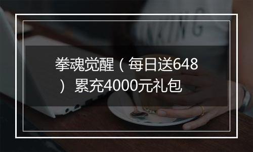 拳魂觉醒（每日送648） 累充4000元礼包
