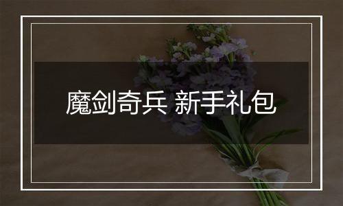 魔剑奇兵 新手礼包