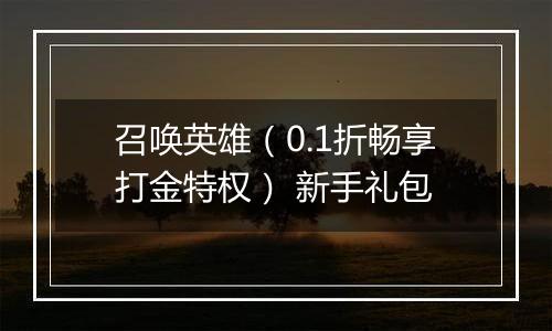 召唤英雄（0.1折畅享打金特权） 新手礼包