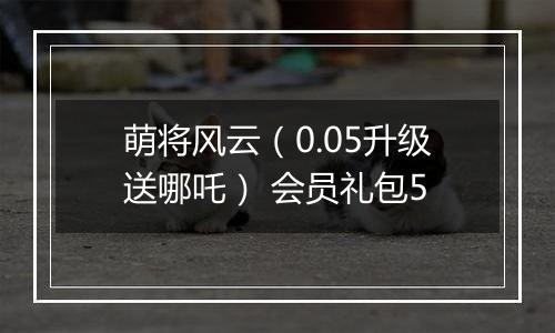 萌将风云（0.05升级送哪吒） 会员礼包5